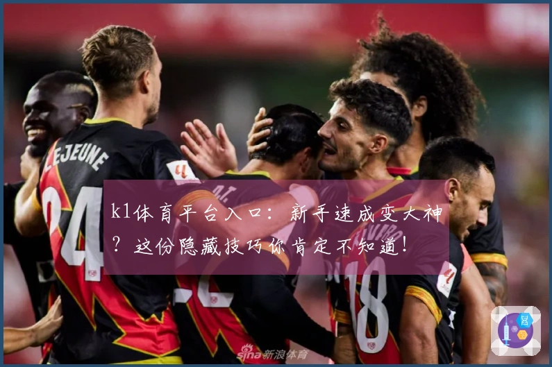 k1体育平台入口：新手速成变大神？这份隐藏技巧你肯定不知道！
